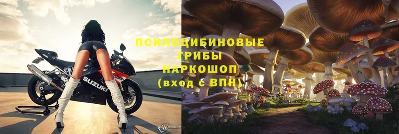 Псилоцибиновые грибы Psilocybe  цена наркотик  Лянтор 